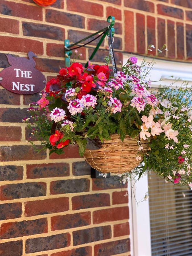 The Nest Kingston Daire Winterborne Kingston Dış mekan fotoğraf